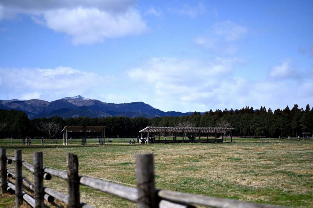 那須高原の千本松牧場